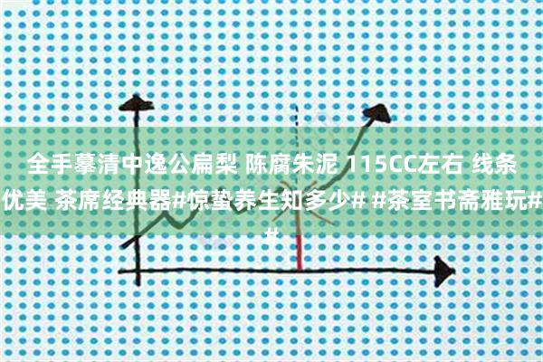 全手摹清中逸公扁梨 陈腐朱泥 115CC左右 线条优美 茶席经典器#惊蛰养生知多少# #茶室书斋雅玩#