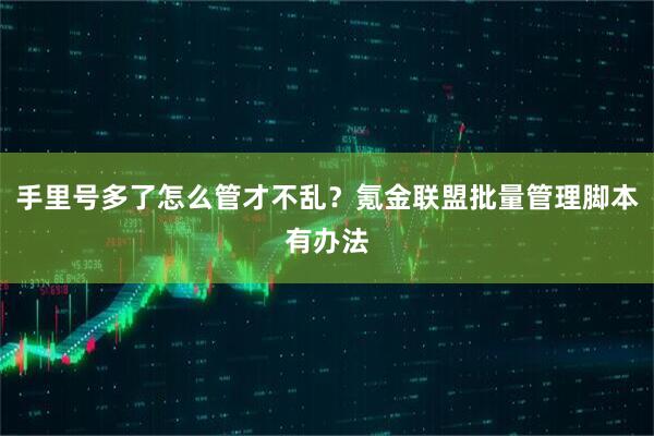 手里号多了怎么管才不乱？氪金联盟批量管理脚本有办法