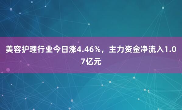 美容护理行业今日涨4.46%，主力资金净流入1.07亿元